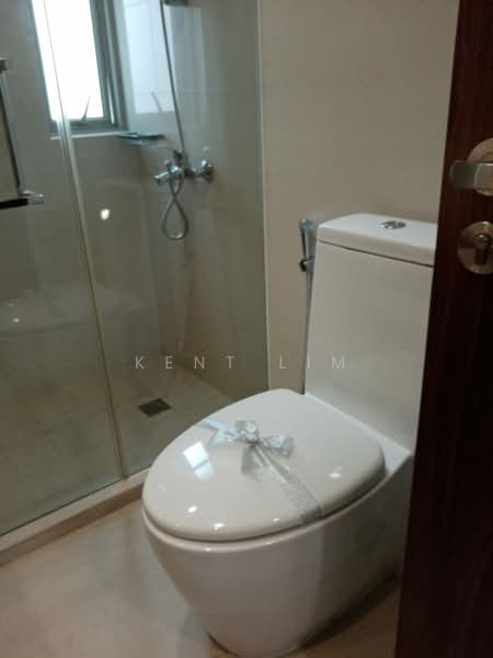 Nassim Regency, 37 Nassim Road, 3 Bedrooms, 2,056 sqft, Apartment For Rent, by Kent Lim, 500181609 - PropertyGuru.com.sg