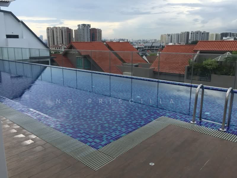 Leville iSuites, 28 Ceylon Road, 1 Bedroom, 398 sqft, Apartment For Rent, by Ng Priscilla, 500181626 - Attic pool - PropertyGuru.com.sg