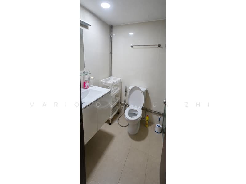 International Plaza, 10 Anson Road, Room Rental, 150 sqft, Apartment For Rent, by Mario Ong Jun Zhi, 500181707 - Bathroom - PropertyGuru.com.sg