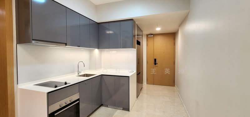 The Tre Ver, 62 Potong Pasir Avenue 1, 1 Bedroom, 506 sqft, Condominium For Sale, by Ken Ong 王英和, 500181731 - Kitchen - PropertyGuru.com.sg