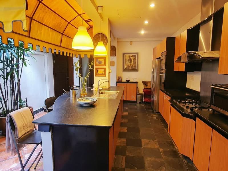 Emerald Hill Conservation Area, Saunders Road, 4 Bedrooms, 4,000 sqft, Conservation House For Sale, by Fiona Yin 国凤, 500181836 - Kitchen - PropertyGuru.com.sg