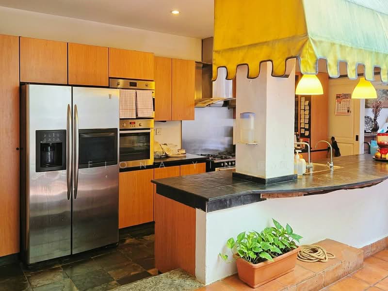 Emerald Hill Conservation Area, Saunders Road, 4 Bedrooms, 4,000 sqft, Conservation House For Sale, by Fiona Yin 国凤, 500181836 - Kitchen - PropertyGuru.com.sg
