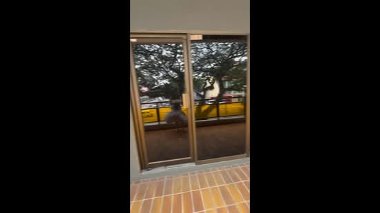 Pek Chuan Building, 116 Lavender Street, 1,313 sqft, Office For Rent, by Sarah Sun, 500182366 - CommercialGuru.com.sg