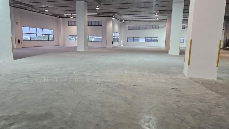 Penjuru lane, , 16,500 sqft, Warehouse For Rent, by Sandra Loke, 500182432 - Interior - CommercialGuru.com.sg