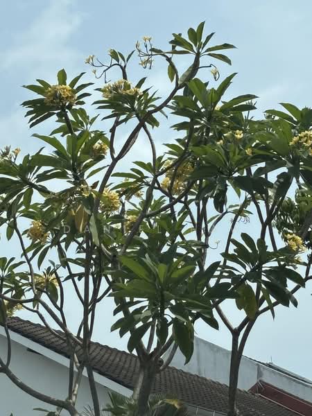 ⭐️⭐️LANDED7772@ New Luxurious Detached Gooodman Rd, Goodman Rd  DM 9321 7772 to view, 6 Bedrooms, 9,765 sqft, Detached House For Sale, by Daniel Haw, 500182968 - PropertyGuru.com.sg