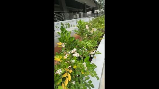 Space 18, 18 Lorong Ampas, 1,733 sqft, Light Industrial (B1) For Rent, by Terry Wee, 500183044 - CommercialGuru.com.sg