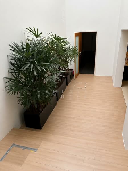 116 cairnhill, cairnhill, 6 Bedrooms, 5,000 sqft, Conservation House For Rent, by Hemlata Pathela, 500183218 - Interior - PropertyGuru.com.sg