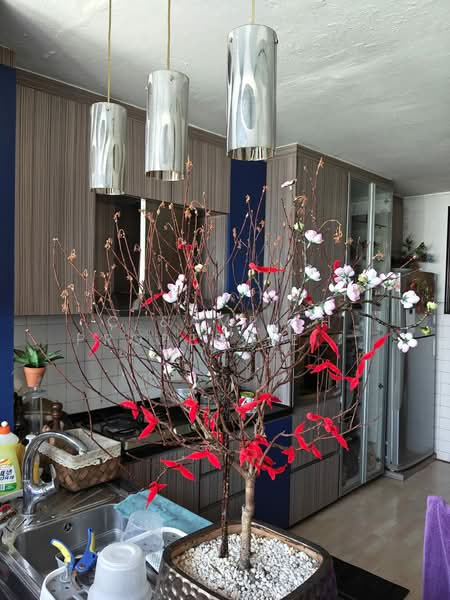 261 Jurong East Street 24, 261 Jurong East Street 24, 2 Bedrooms, 732 sqft, HDB Flat For Sale, by ANGELA HAN SIEW JONG, 500183238 - Kitchen - PropertyGuru.com.sg