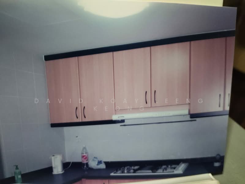 Palm Gardens, 2D Hong San Walk, 3 Bedrooms, 1,206 sqft, Condominium For Sale, by David Koay Leeng Keong, 500183740 - Kitchen - PropertyGuru.com.sg