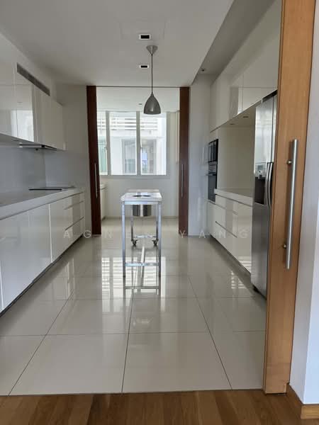 Grange Residences, 93 Grange Road, 4 Bedrooms, 2,853 sqft, Condominium For Rent, by Agnes Yang, 500183776 - Kitchen - PropertyGuru.com.sg