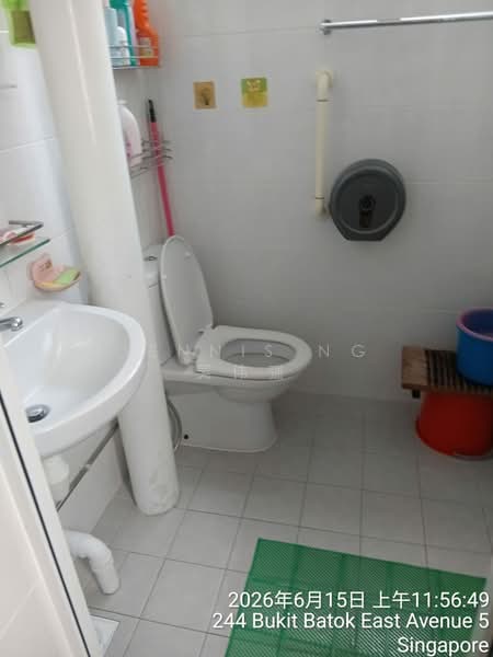244 Bukit Batok East Avenue 5, 244 Bukit Batok East Avenue 5, Room Rental, 150 sqft, HDB Flat For Rent, by Dennis Ng 吴伟强, 500184013 - Bathroom - PropertyGuru.com.sg