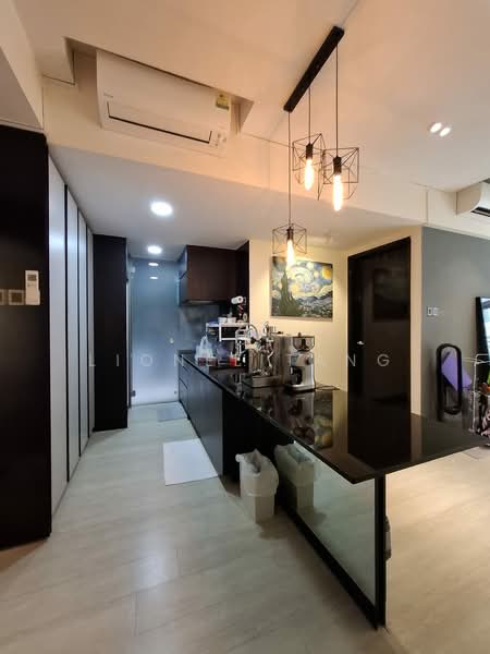 River Place, 60 Havelock Road, 1 Bedroom, 807 sqft, Condominium For Sale, by Lionel Tang, 500184266 - Kitchen - PropertyGuru.com.sg