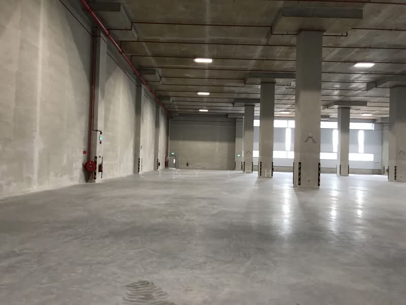 Ground Floor - Heavy Floor Loading, 10m Clear Ceiling Height, , 145,000 sqft, Warehouse For Rent, by Betsy Loh, 500184434 - Interior - CommercialGuru.com.sg