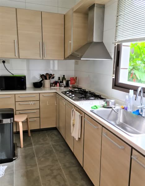 Botanic Garden Vicinity, , 4 Bedrooms, 5,046 sqft, Semi-Detached House For Rent, by Willy Wong, 500184566 - Wet Kitchen - PropertyGuru.com.sg