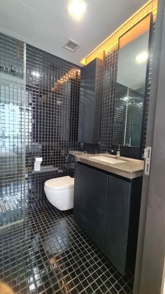 Skysuites @ Anson, 8 Enggor Street, Studio, 366 sqft, Condominium For Rent, by Tricia Tan, 500184613 - Bathroom - PropertyGuru.com.sg