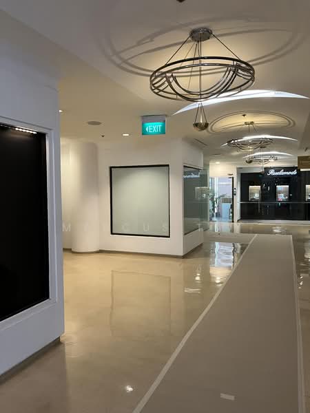 Delfi Orchard, 402 Orchard Road Singapore, 301 sqft, Mall Shop For Rent, by Marcus Tay, 500184641 - Interior - CommercialGuru.com.sg