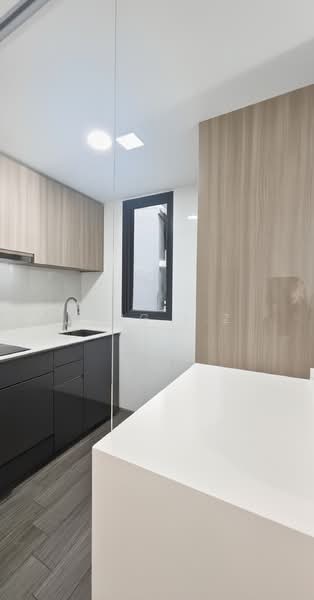 Botanique at Bartley, 223 Upper Paya Lebar Road, 2 Bedrooms, 657 sqft, Condominium For Rent, by Ding S.Z, 500184761 - Kitchen - PropertyGuru.com.sg