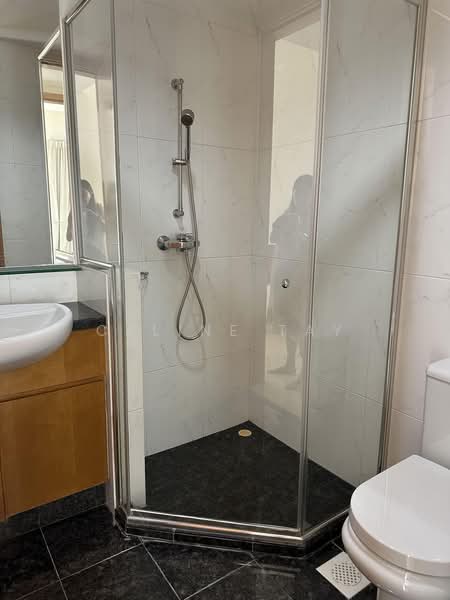 Amaryllis Ville, 20 Newton Road, 3 Bedrooms, 980 sqft, Condominium For Rent, by Celine Tay, 500185009 - Bathroom - PropertyGuru.com.sg