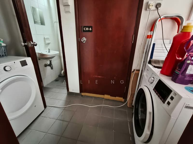 Springdale Condo, 45 Hindhede Walk, Room Rental, 100 sqft, Condominium For Rent, by Allie Ng, 500185024 - Bathroom - PropertyGuru.com.sg