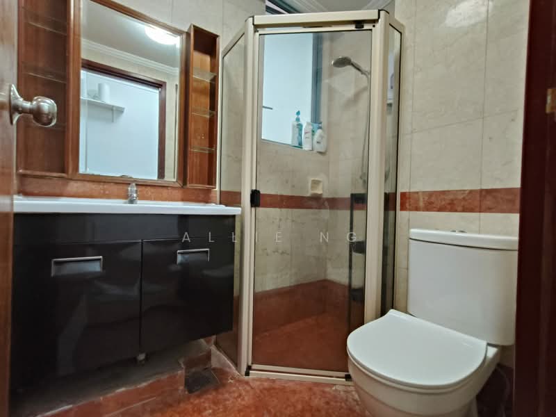 Springdale Condo, 45 Hindhede Walk, Room Rental, 100 sqft, Condominium For Rent, by Allie Ng, 500185024 - Bathroom - PropertyGuru.com.sg