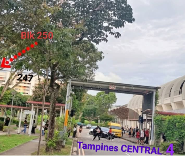 250 Tampines Street 21, 250 Tampines Street 21, 2 Bedrooms, 796 sqft, HDB Flat For Sale, by Desmond Tan, 500185308 - Exterior - PropertyGuru.com.sg