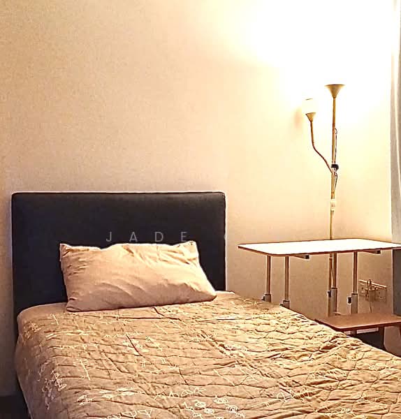 Terrasse, 23 Terrasse Lane, Room Rental, 150 sqft, Condominium For Rent, by Jade Goh, 500185403 - Bedroom - PropertyGuru.com.sg