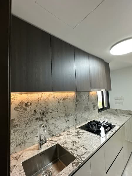 Tembusu Grand, 96 Jalan Tembusu, 3 Bedrooms, 1,173 sqft, Condominium For Sale, by Sandra Yap, 500185509 - Kitchen - PropertyGuru.com.sg