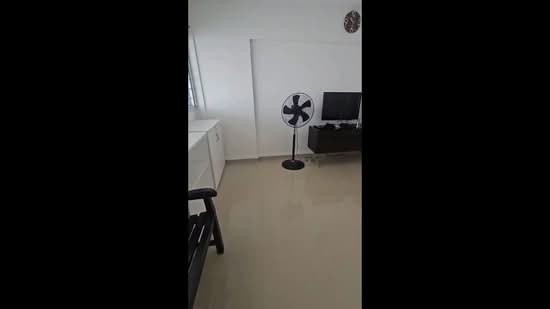 283 Tampines Street 22, 283 Tampines Street 22, 2 Bedrooms, 893 sqft, HDB Flat For Rent, by Chew Jennifer, 500185606 - PropertyGuru.com.sg