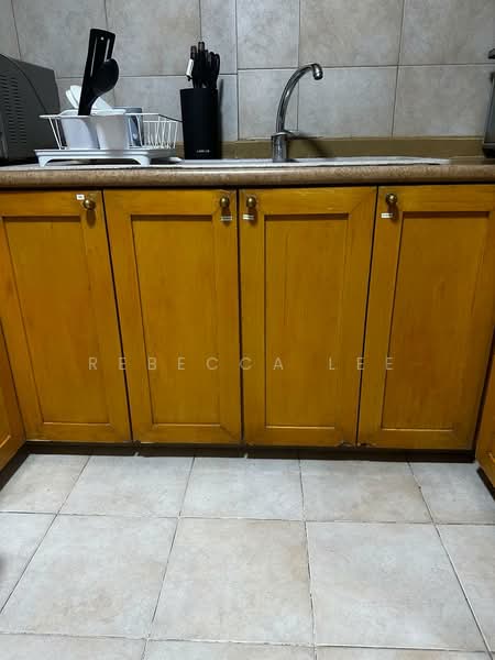Heritage View, 10 Dover Rise, Room Rental, 300 sqft, Condominium For Rent, by Rebecca Lee, 500186035 - Kitchen - PropertyGuru.com.sg
