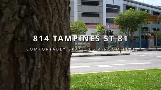 814 Tampines Street 81, 814 Tampines Street 81, 3 Bedrooms, 1,119 sqft, HDB Flat For Sale, by Thomas Lim, 500186059 - PropertyGuru.com.sg