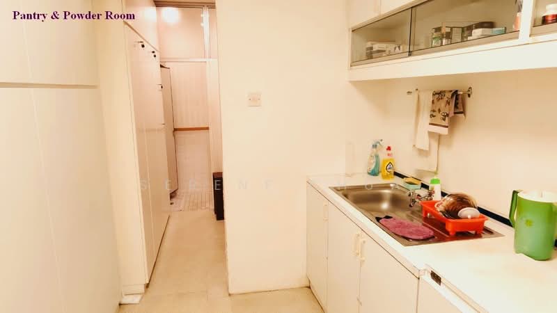 Mount Elizabeth Hospital / Medical Center, 3 Mount Elizabeth, 105 sqft, Medical For Rent, by Serene Chua, 500186168 - Pantry - CommercialGuru.com.sg