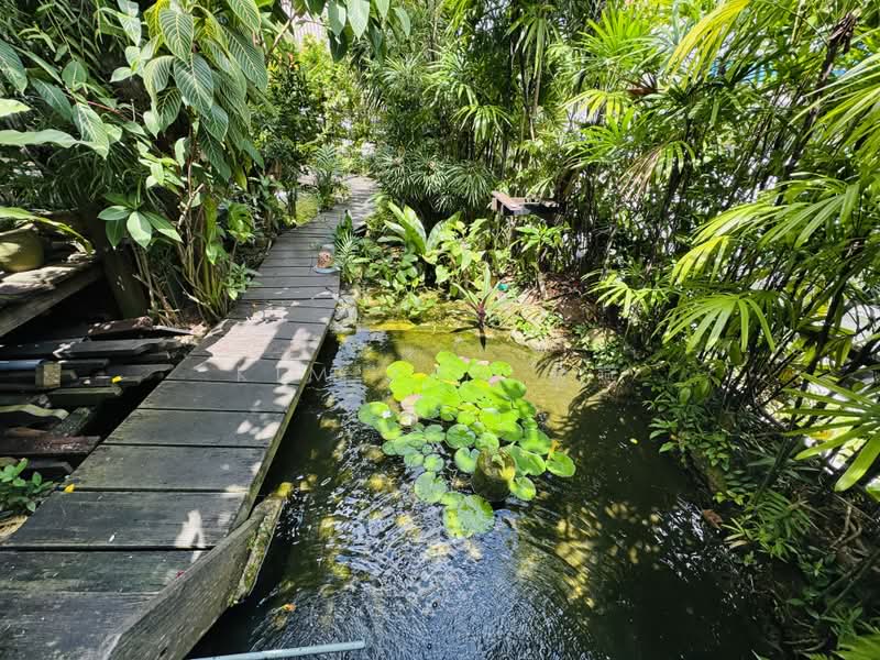 Classical Semi-D with Big land at elveatd ground, Walk to Bishan MRT/ Junction 8, call 8130 3636 to view, 5 Bedrooms, 4,000 sqft, Semi-Detached House For Sale, by Kim Yan 金燕, 500186661 - Garden - PropertyGuru.com.sg