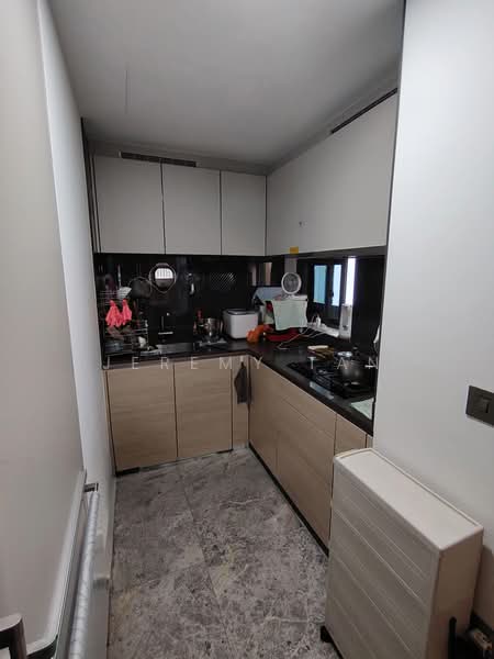 Riviere, 1 Jiak Kim Street, 3 Bedrooms, 1,249 sqft, Condominium For Rent, by Jeremy Tan, 500186719 - Kitchen - PropertyGuru.com.sg