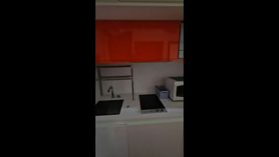 Espada, 48 Saint Thomas Walk, 1 Bedroom, 377 sqft, Condominium For Rent, by Kelvin Lim, 500186880 - PropertyGuru.com.sg