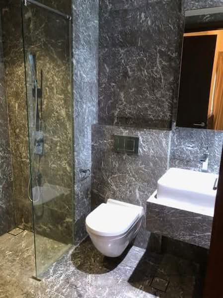Espada, 48 Saint Thomas Walk, 1 Bedroom, 377 sqft, Condominium For Rent, by Kelvin Lim, 500186880 - Bathroom - PropertyGuru.com.sg