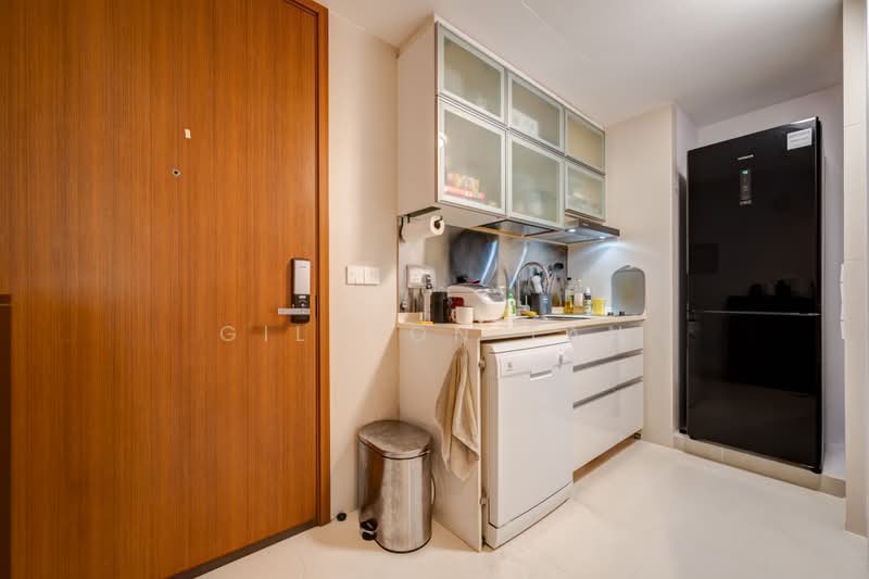 RV Suites, 396 River Valley Road, 1 Bedroom, 678 sqft, Apartment For Sale, by Gilston Tan, 500186910 - Kitchen - PropertyGuru.com.sg