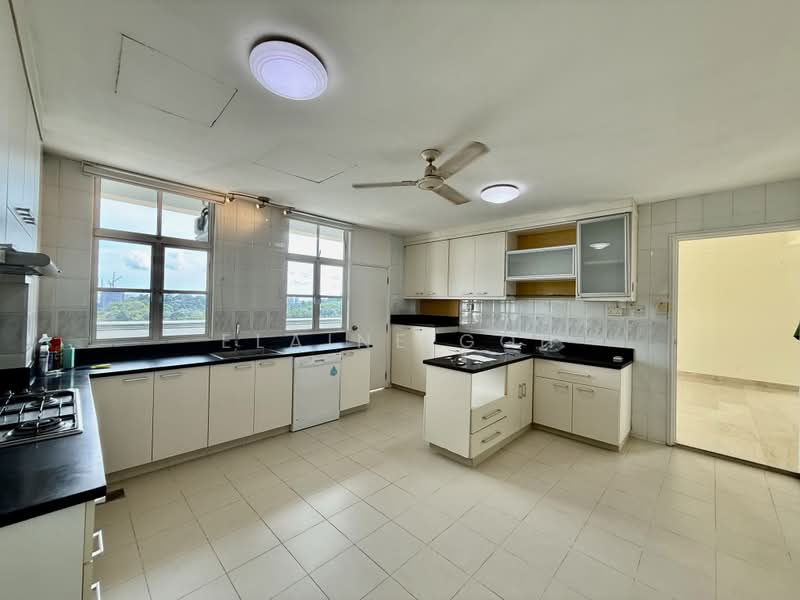 La Suisse I, 58 Swiss View, 5 Bedrooms, 4,844 sqft, Condominium For Rent, by Elaine Goh, 500186985 - Kitchen - PropertyGuru.com.sg