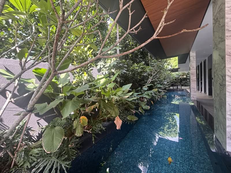 Fernhill Road, Stevens Close, Dalvey Road, Fernhill Road, Stevens Close, Dalvey Road, 6 Bedrooms, 7,441 sqft, Semi-Detached House For Sale, by Jerlyn Tan, 500186990 - Garden - PropertyGuru.com.sg