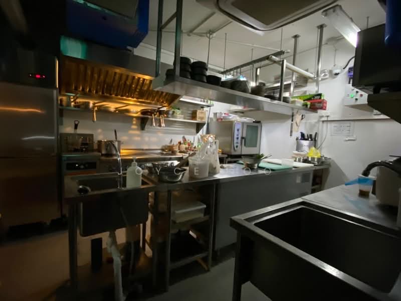 Telok Ayer Shop Houses, Telok Ayer Shop Houses (Default), 1,309 sqft, Food & Beverage For Rent, by Joyce Foo, 500187194 - CommercialGuru.com.sg