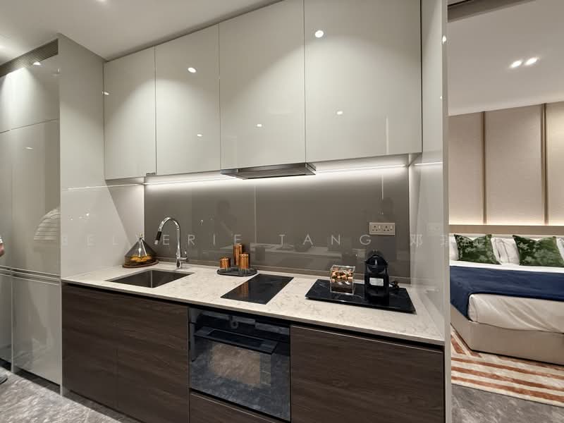 19 Nassim, 19 Nassim Hill, 1 Bedroom, 538 sqft, Condominium For Sale, by Belverie Tang 邓瑞霞, 500187383 - Kitchen - PropertyGuru.com.sg