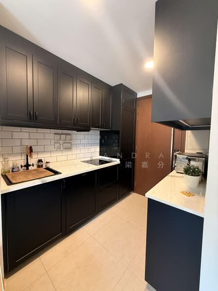 Centra Residence, 8 Lorong 7 Geylang, 2 Bedrooms, 1,066 sqft, Apartment For Rent, by Cassandra Liang 梁嘉分, 500187564 - Kitchen - PropertyGuru.com.sg