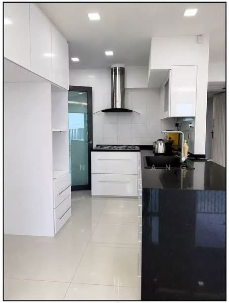 Pinnacle @ Duxton, 1E Cantonment Road, Room Rental, 200 sqft, HDB Flat For Rent, by Joanne Wang, 500187595 - Kitchen - PropertyGuru.com.sg