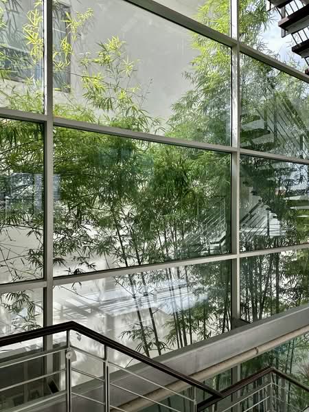 Wareham Road, , 6 Bedrooms, 8,465 sqft, Detached House For Sale, by Eugene Fung, 500187681 - Interior - PropertyGuru.com.sg