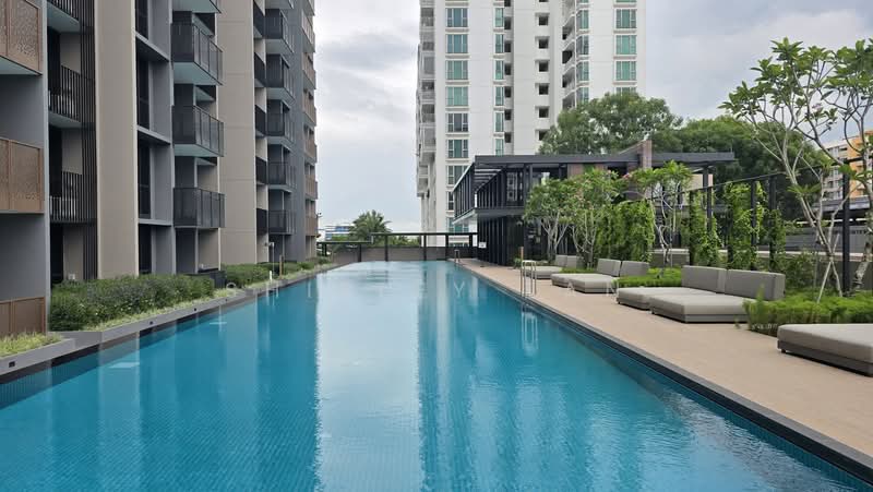 Sceneca Residence, Tanah Merah Kechil Link, 1 Bedroom, 538 sqft, Condominium For Rent, by Shirley Tan, 500187749 - Pool - PropertyGuru.com.sg