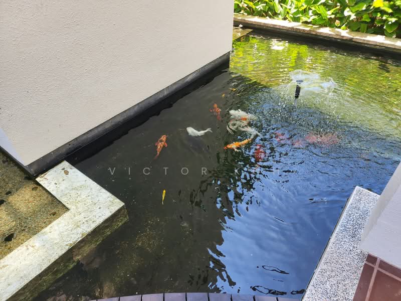 Sunville, 20 Saint Michael's Road, 3 Bedrooms, 1,432 sqft, Condominium For Rent, by Victor Koh, 500187908 - Fish Pond - PropertyGuru.com.sg