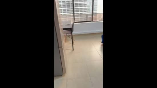 International Plaza, 10 Anson Road, 1 Bedroom, 250 sqft, Apartment For Rent, by Rick Khiantani, 500188406 - PropertyGuru.com.sg