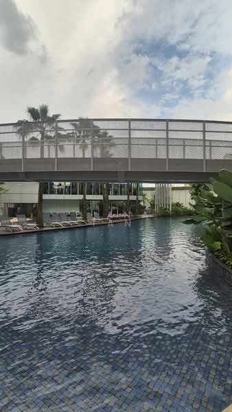 The Panorama, 8 Ang Mo Kio Ave 2, 1 Bedroom, 474 sqft, Condominium For Rent, by Diana Tan, 500188602 - Pool - PropertyGuru.com.sg