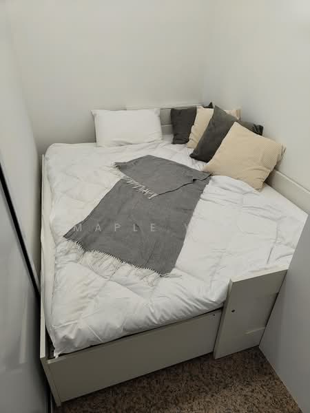 Dover Parkview, 30 Dover Rise, Room Rental, 120 sqft, Condominium For Rent, by Maple Yap, 500188735 - PR6 - PropertyGuru.com.sg