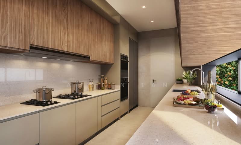 Villas @ Greenbank Park, 50 Greenbank Park, 5 Bedrooms, 5,436 sqft, Semi-Detached House For Sale, by Austin Tan, 500188803 - Kitchen - PropertyGuru.com.sg