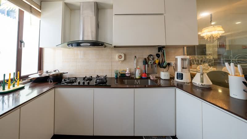 Kew Residencia, Kew Crescent, 4 Bedrooms, 2,961 sqft, Terraced House For Sale, by David Lim 林伟达, 500189333 - Kitchen - PropertyGuru.com.sg